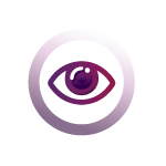 Vision
